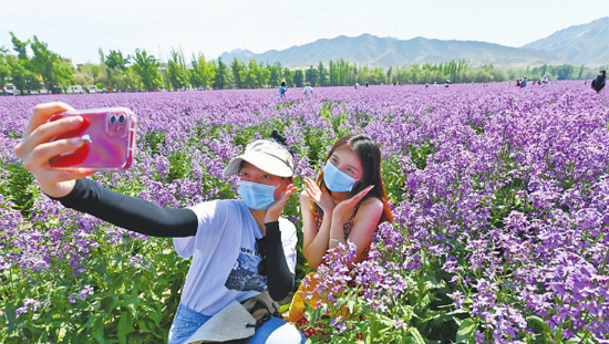 赏花观鹿 石人农场开园迎客